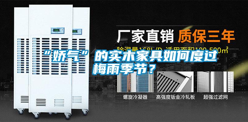 “嬌氣”的實木家具如何度過梅雨季節？