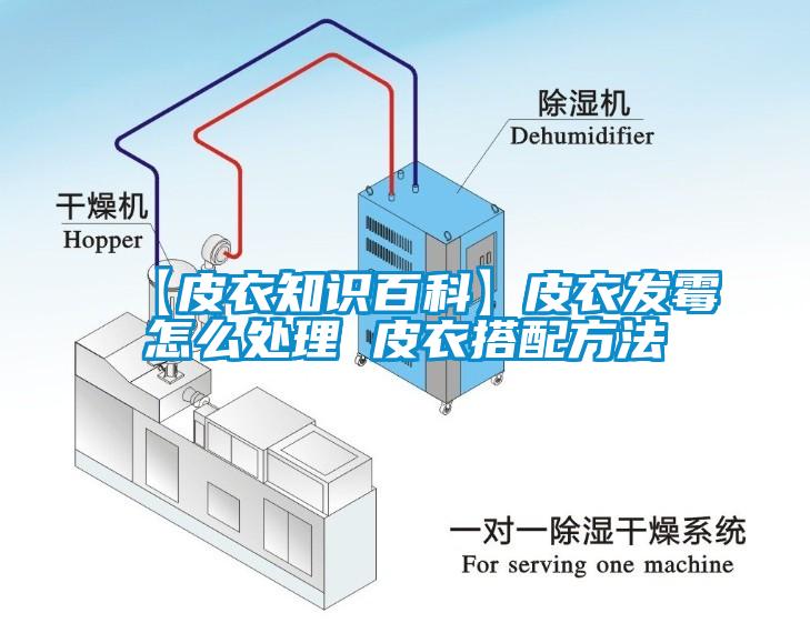 【皮衣知識百科】皮衣發霉怎么處理 皮衣搭配方法