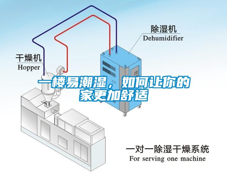 一樓易潮濕，如何讓你的家更加舒適
