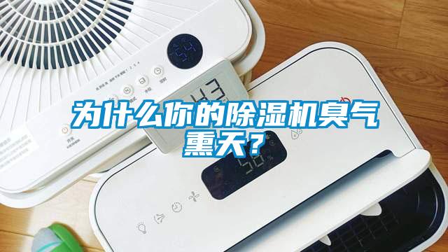 為什么你的除濕機(jī)臭氣熏天？