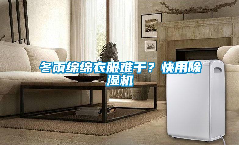 冬雨綿綿衣服難干？快用除濕機