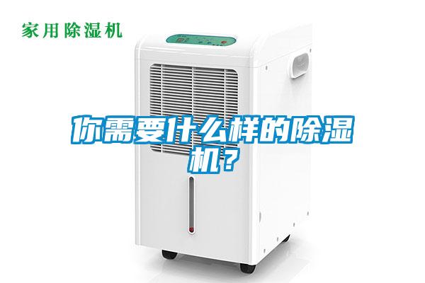 你需要什么樣的除濕機？
