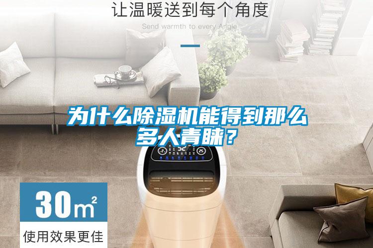 為什么除濕機能得到那么多人青睞？