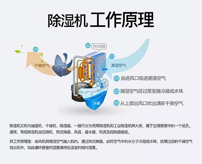 你們見過回南天電梯罷工嗎？