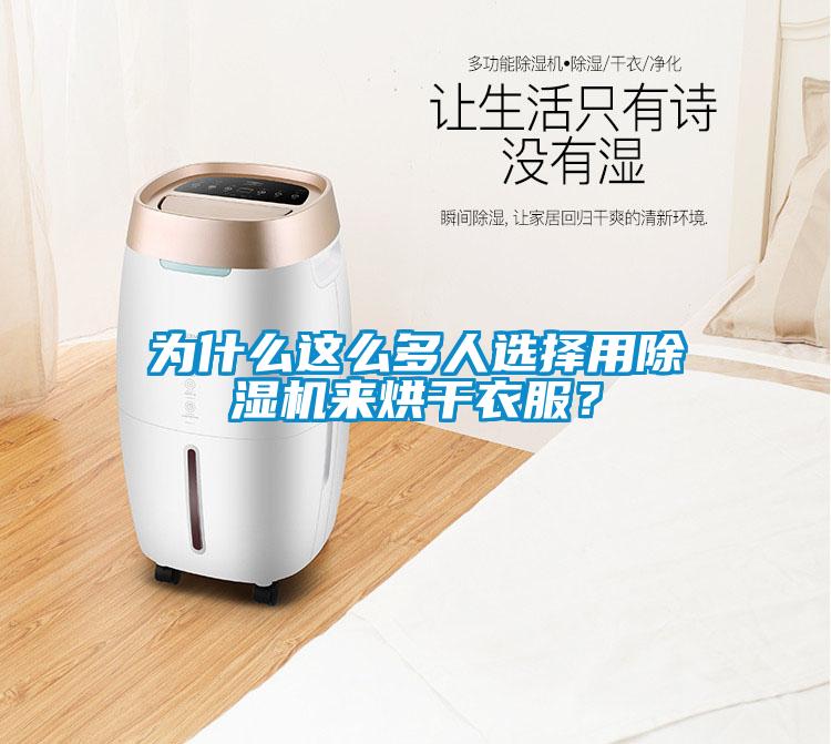 為什么這么多人選擇用除濕機來烘干衣服？