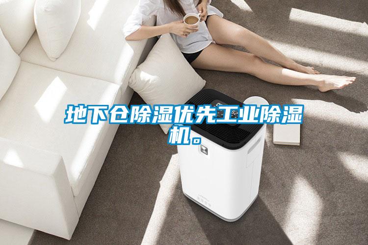 地下倉除濕優先工業除濕機。