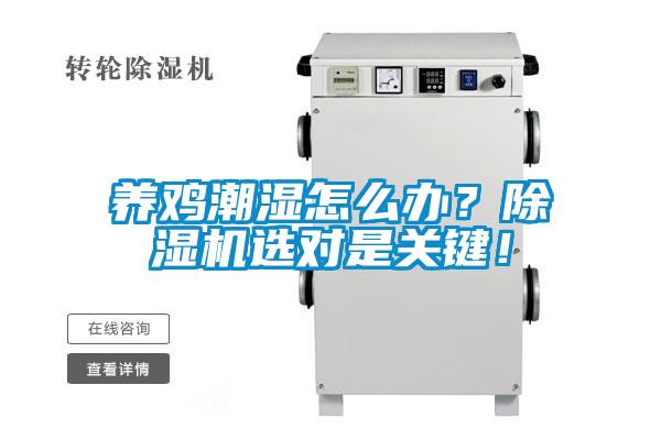 養雞潮濕怎么辦？除濕機選對是關鍵！