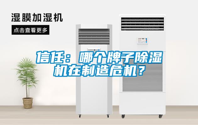 信任：哪個(gè)牌子除濕機(jī)在制造危機(jī)？