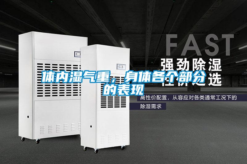 體內濕氣重，身體各個部分的表現