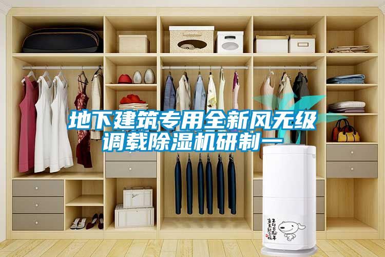 地下建筑專用全新風(fēng)無級調(diào)載除濕機(jī)研制一