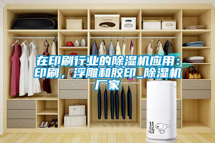 在印刷行業(yè)的除濕機應用：印刷，浮雕和膠印_除濕機廠家