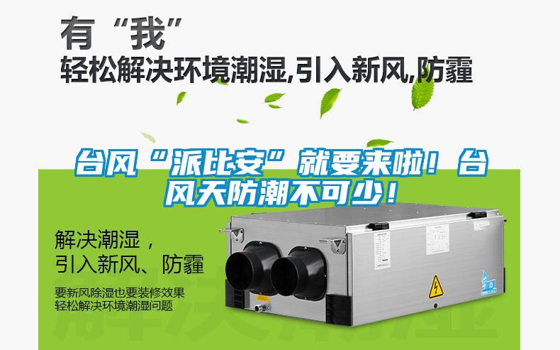 臺風“派比安”就要來啦！臺風天防潮不可少！