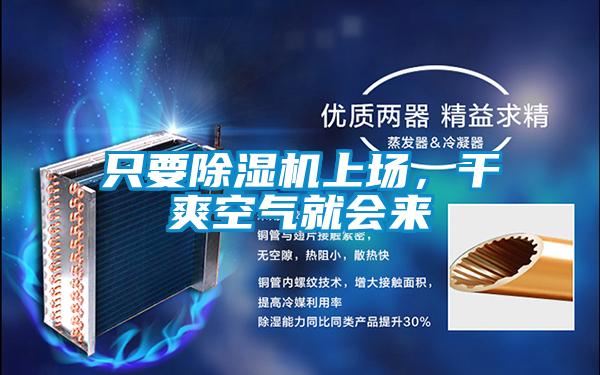 只要除濕機上場，干爽空氣就會來