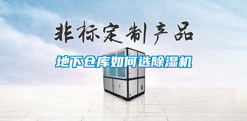 地下倉(cāng)庫(kù)如何選除濕機(jī)