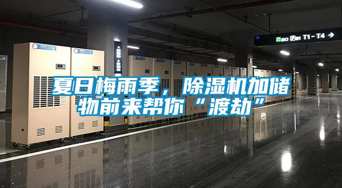 夏日梅雨季，除濕機(jī)加儲(chǔ)物前來幫你“渡劫”