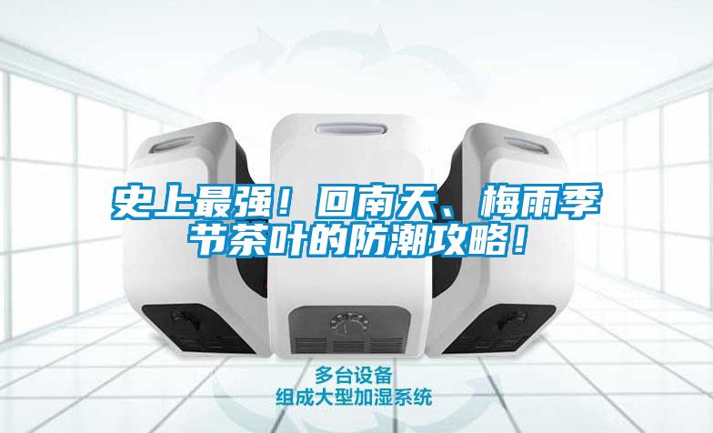 史上最強！回南天、梅雨季節茶葉的防潮攻略！