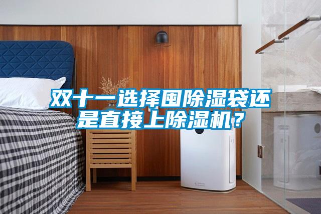 雙十一選擇囤除濕袋還是直接上除濕機(jī)？