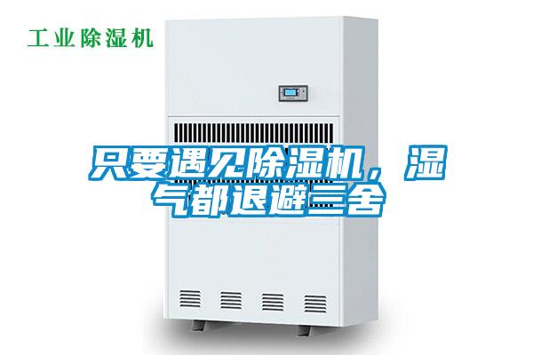 只要遇見除濕機，濕氣都退避三舍