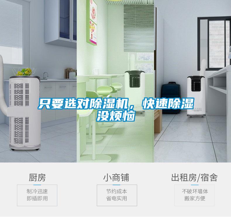 只要選對除濕機，快速除濕沒煩惱