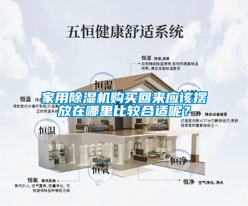 家用除濕機購買回來應該擺放在哪里比較合適呢？