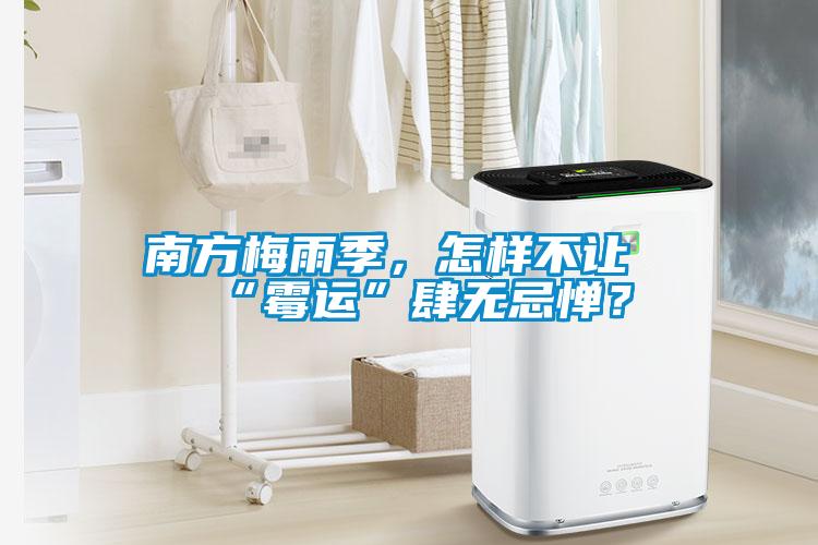 南方梅雨季，怎樣不讓“霉運”肆無忌憚？
