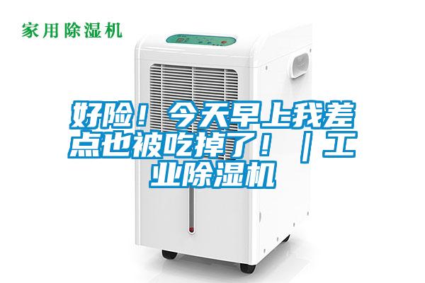 好險！今天早上我差點也被吃掉了?。I(yè)除濕機