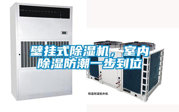 壁掛式除濕機，室內除濕防潮一步到位