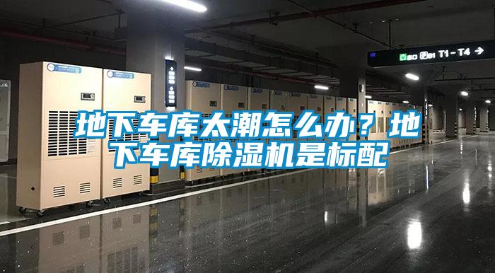 地下車庫太潮怎么辦？地下車庫除濕機是標配