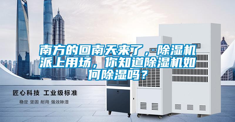 南方的回南天來(lái)了，除濕機(jī)派上用場(chǎng)，你知道除濕機(jī)如何除濕嗎？