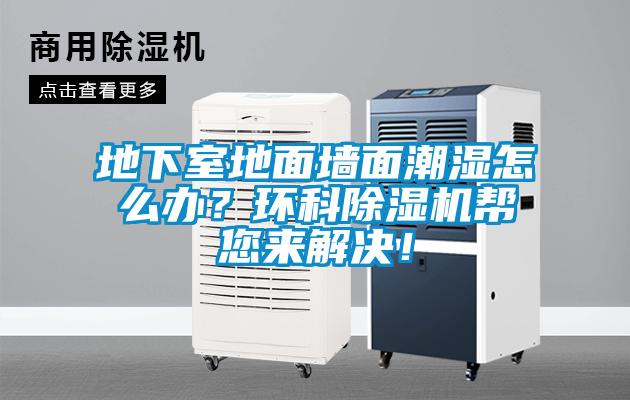 地下室地面墻面潮濕怎么辦？環(huán)科除濕機(jī)幫您來解決！