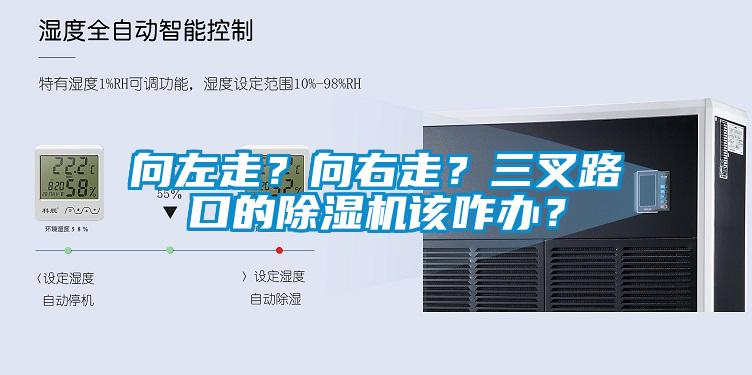 向左走？向右走？三叉路口的除濕機該咋辦？