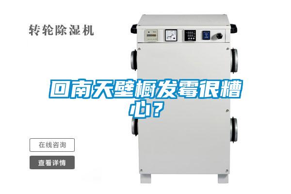 回南天壁櫥發霉很糟心？