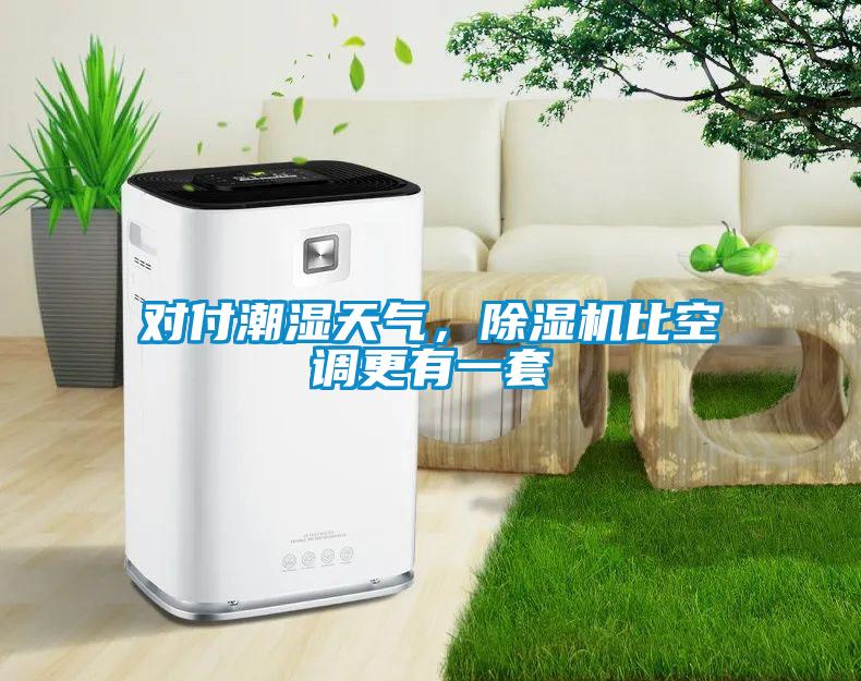 對付潮濕天氣，除濕機比空調更有一套