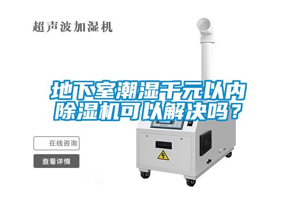 地下室潮濕千元以內除濕機可以解決嗎？