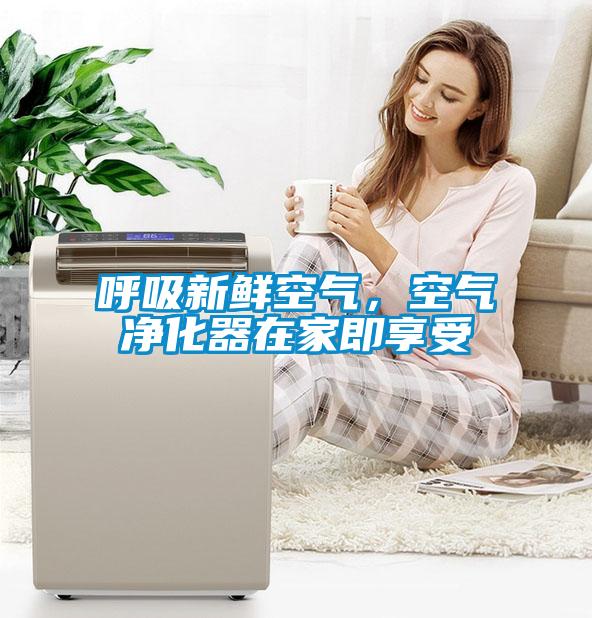 呼吸新鮮空氣，空氣凈化器在家即享受