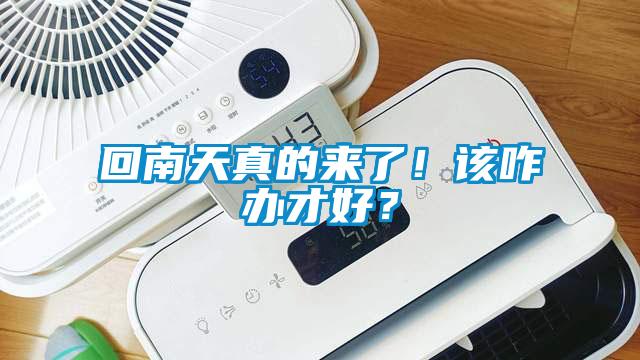 回南天真的來了！該咋辦才好？