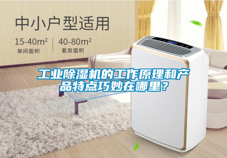 工業(yè)除濕機(jī)的工作原理和產(chǎn)品特點(diǎn)巧妙在哪里？