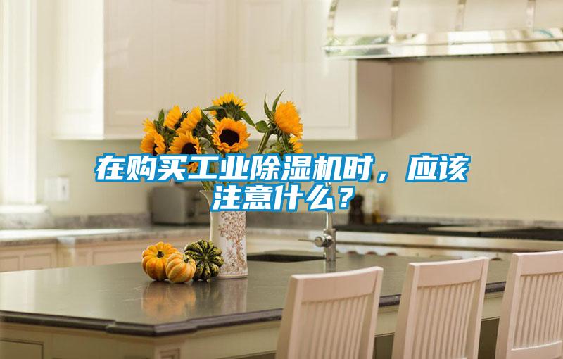 在購(gòu)買(mǎi)工業(yè)除濕機(jī)時(shí)，應(yīng)該注意什么？