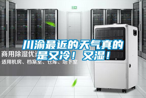 川渝最近的天氣真的是又冷！又濕！