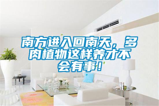 南方進(jìn)入回南天，多肉植物這樣養(yǎng)才不會(huì)有事！