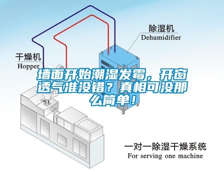 墻面開始潮濕發霉，開窗透氣準沒錯？真相可沒那么簡單！