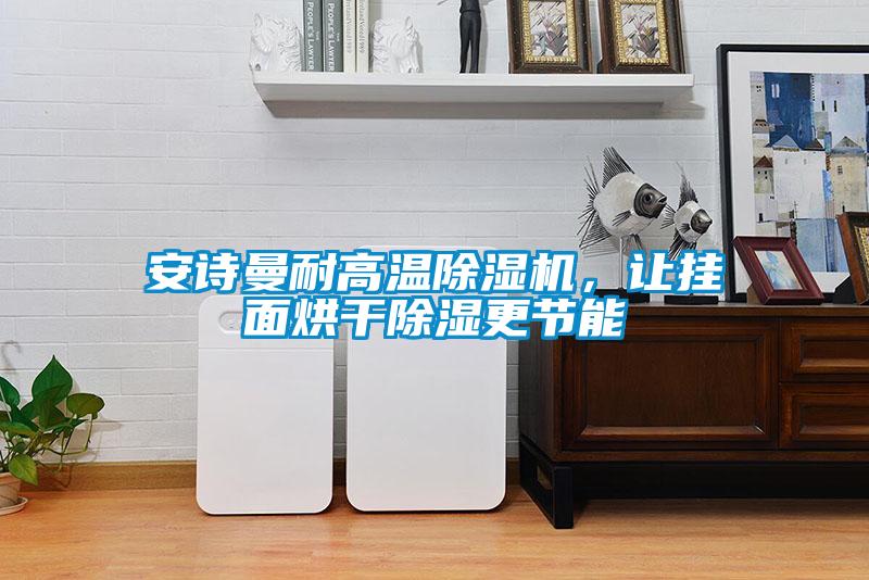 安詩曼耐高溫除濕機，讓掛面烘干除濕更節能