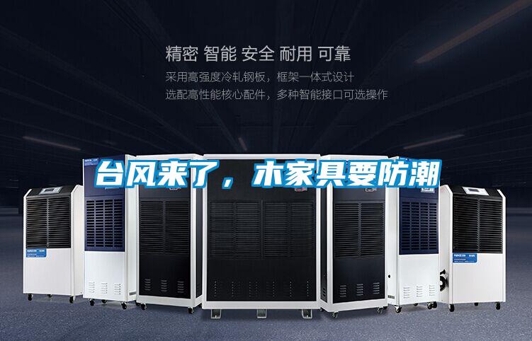 臺風來了，木家具要防潮