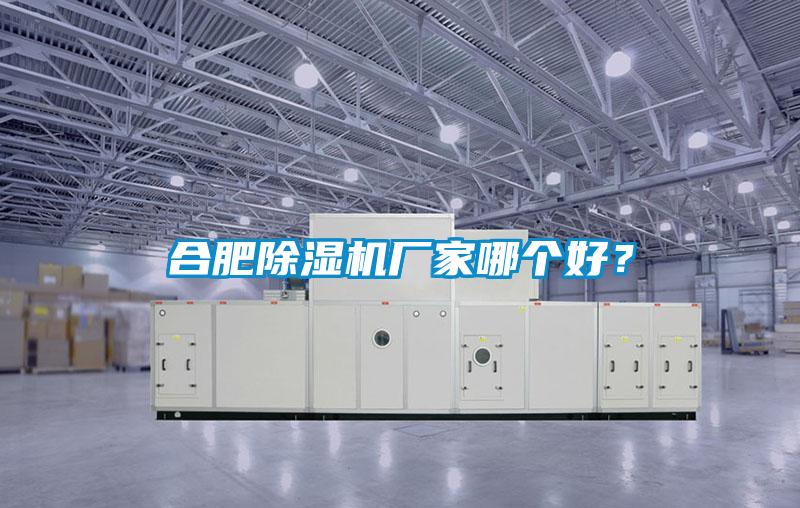 合肥除濕機(jī)廠家哪個(gè)好？