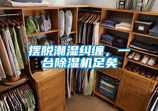 擺脫潮濕糾纏，一臺除濕機足矣