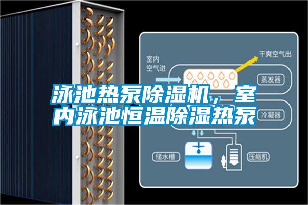 泳池?zé)岜贸凉駲C(jī)，室內(nèi)泳池恒溫除濕熱泵