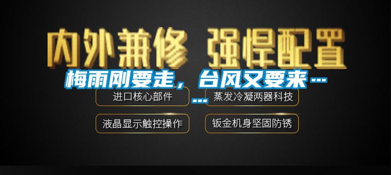 梅雨剛要走，臺風又要來……