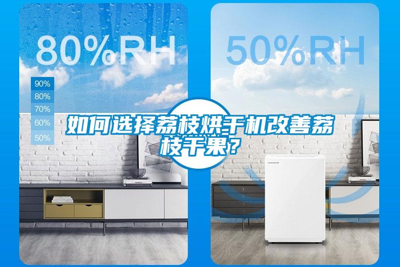 如何選擇荔枝烘干機改善荔枝干果？