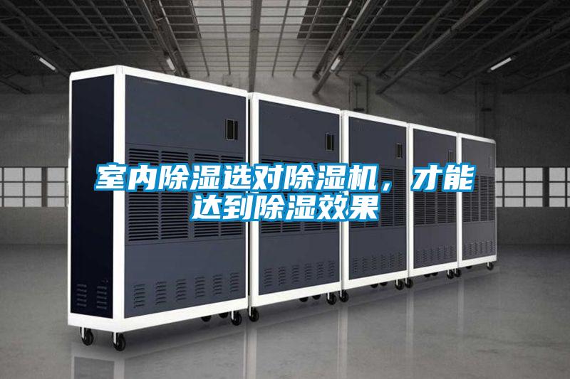 室內(nèi)除濕選對除濕機，才能達到除濕效果