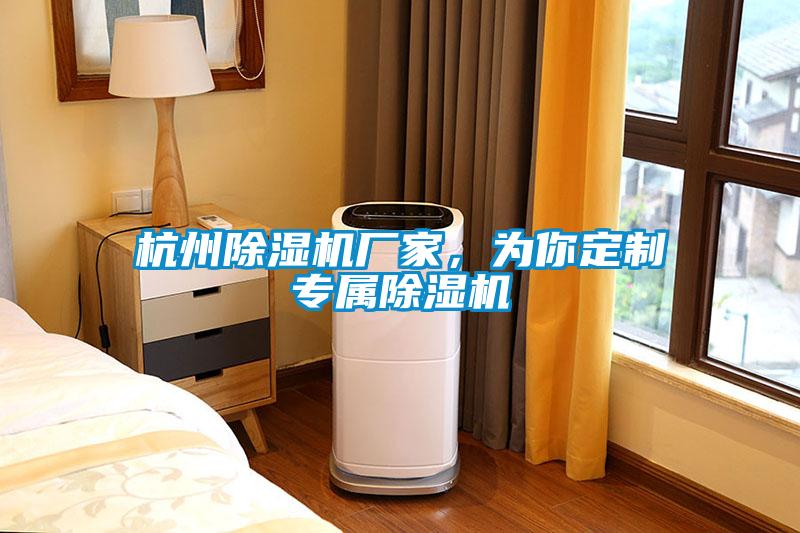 杭州除濕機(jī)廠家，為你定制專屬除濕機(jī)